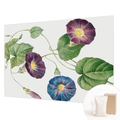 Papel de parede fotográfico Elegância floral