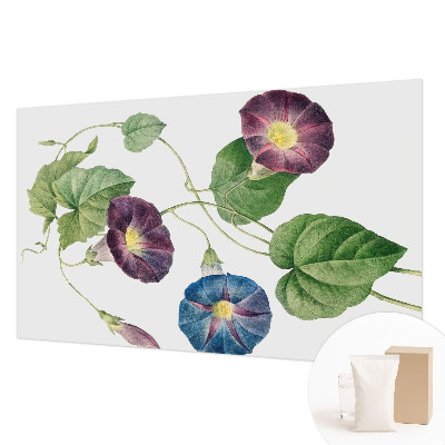 Papel de parede fotográfico Elegância floral