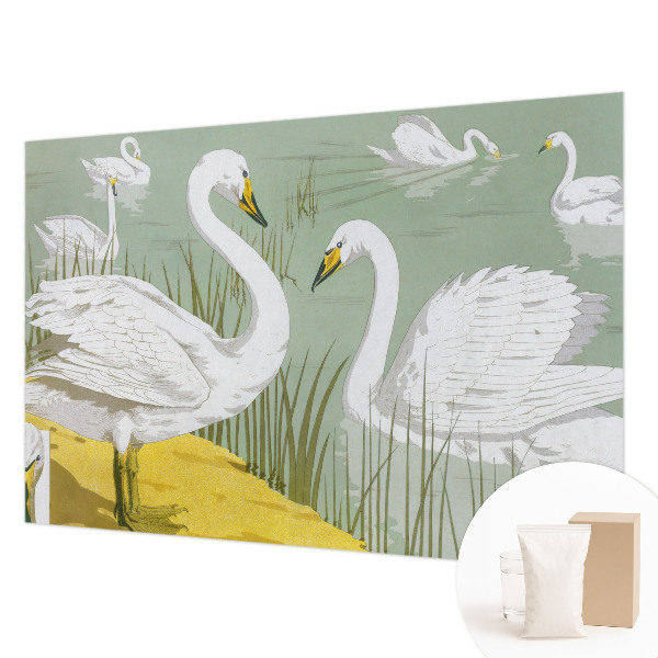 Papel de parede decorativo Lago dos Cisnes