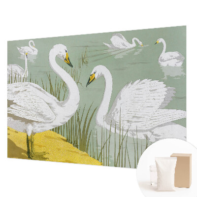 Papel de parede decorativo Lago dos Cisnes