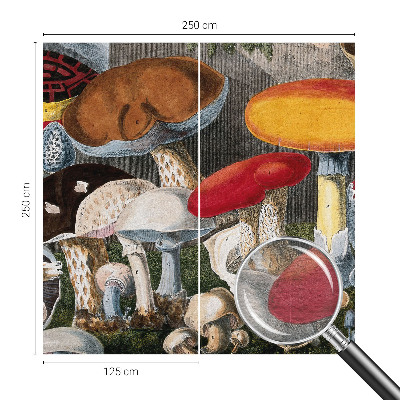 Papel de parede para quarto Cogumelos botânicos