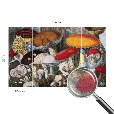 Papel de parede para quarto Cogumelos botânicos