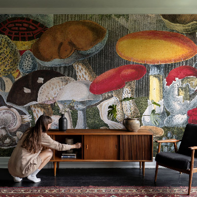 Papel de parede para quarto Cogumelos botânicos