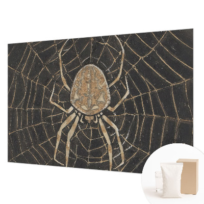 Papel de parede decorativo Teia de aranha
