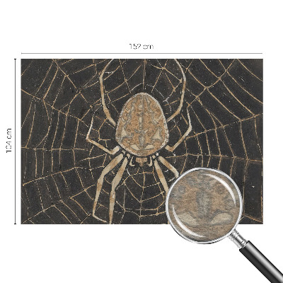 Papel de parede decorativo Teia de aranha