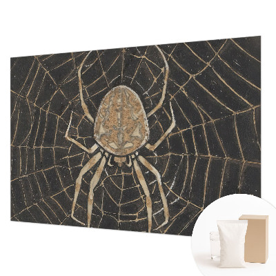 Papel de parede decorativo Teia de aranha