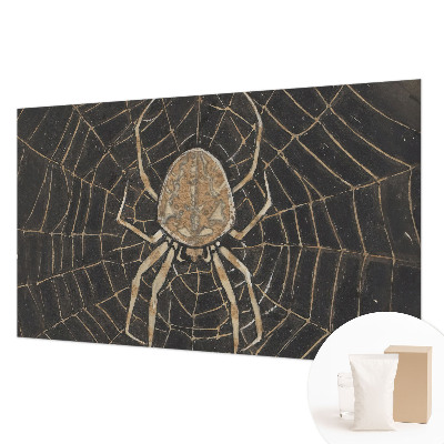 Papel de parede decorativo Teia de aranha