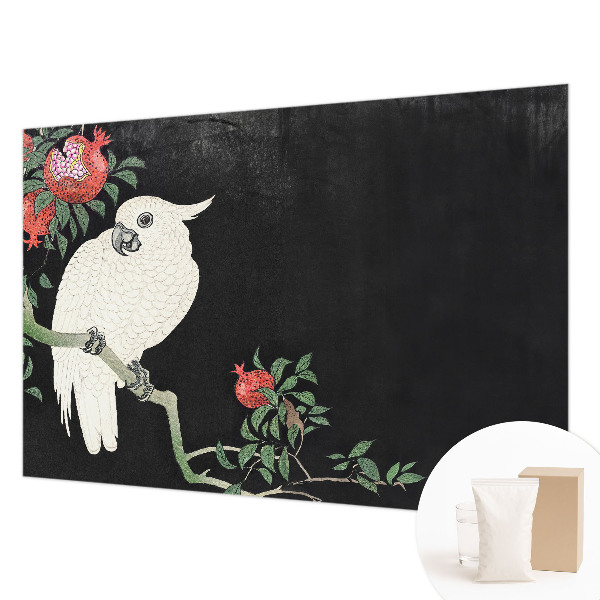 Papel de parede decorativo Papagaio-romã