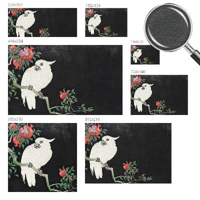 Papel de parede decorativo Papagaio-romã