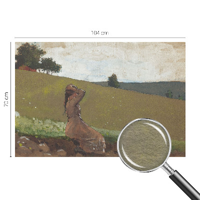 Mural de fotos na parede Uma cena tranquila