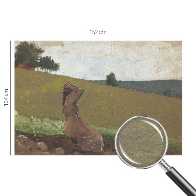 Mural de fotos na parede Uma cena tranquila