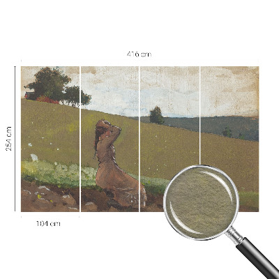 Mural de fotos na parede Uma cena tranquila