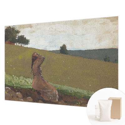 Mural de fotos na parede Uma cena tranquila