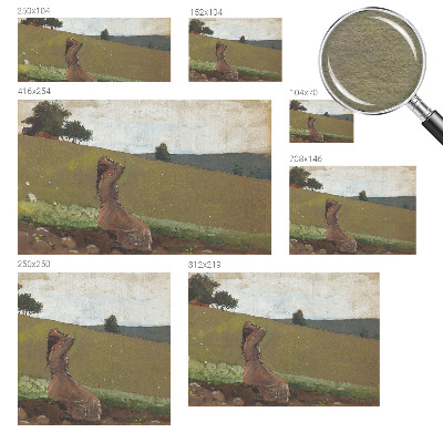 Mural de fotos na parede Uma cena tranquila