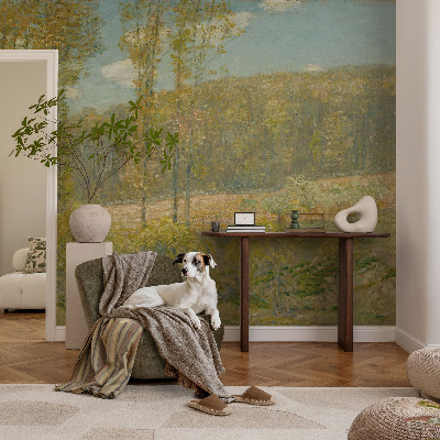 Mural de fotos na parede Paisagem florestal