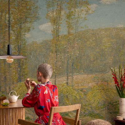 Mural de fotos na parede Paisagem florestal