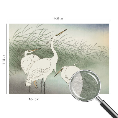 Mural fotográfico Garças na grama