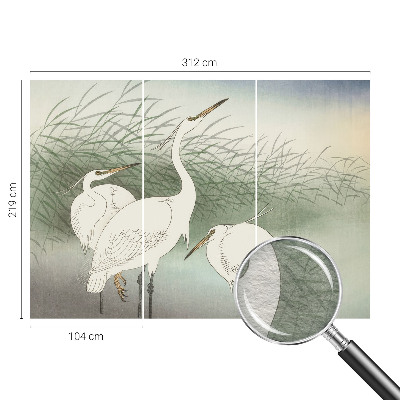 Mural fotográfico Garças na grama