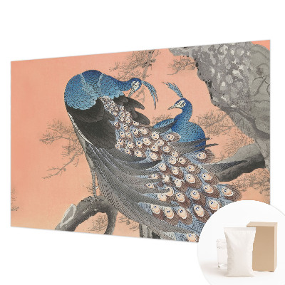 Mural de fotos na parede Elegância do pavão