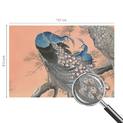 Mural de fotos na parede Elegância do pavão