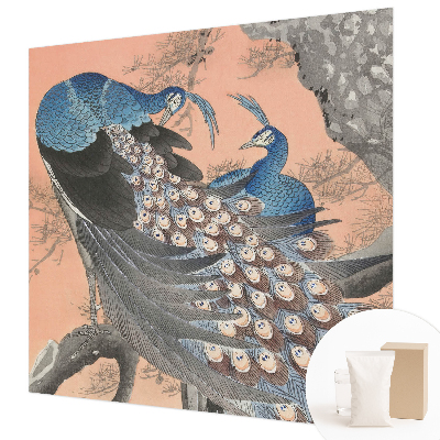 Mural de fotos na parede Elegância do pavão