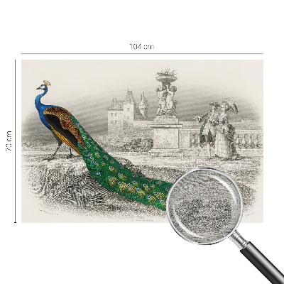 Fotomural Penas coloridas