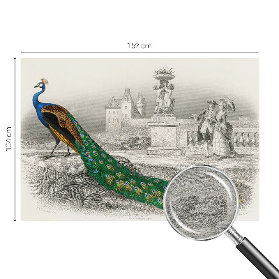 Fotomural Penas coloridas