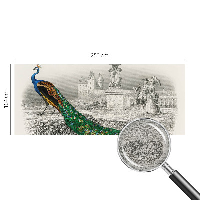 Fotomural Penas coloridas