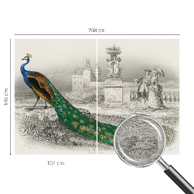 Fotomural Penas coloridas