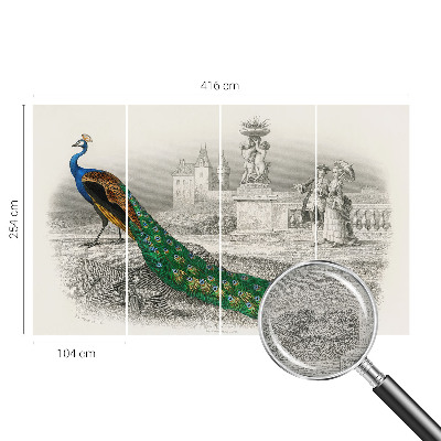 Fotomural Penas coloridas