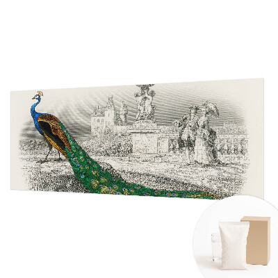 Fotomural Penas coloridas