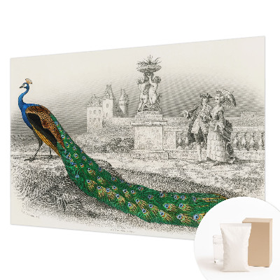 Fotomural Penas coloridas