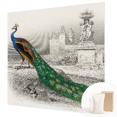 Fotomural Penas coloridas