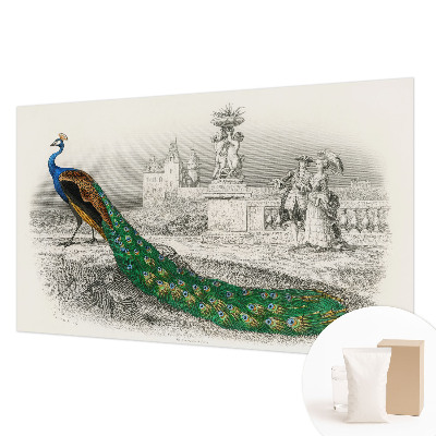 Fotomural Penas coloridas