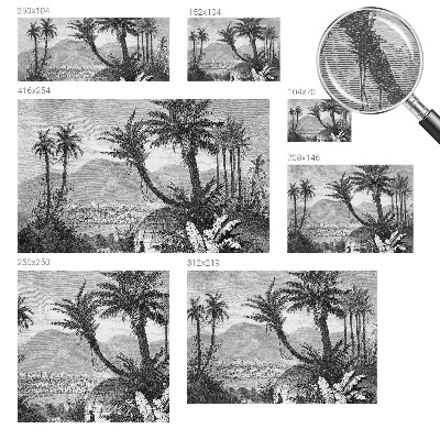 Papel de parede para quarto oásis tropical