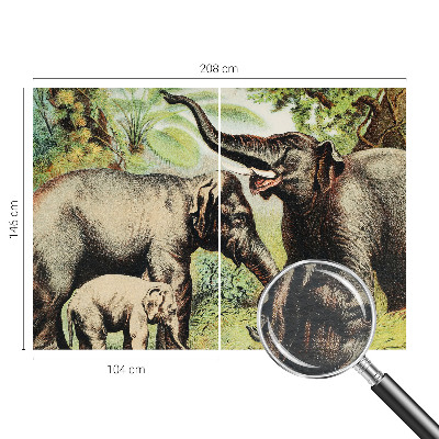 Papel de parede fotográfico Elefantes da família