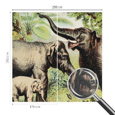 Papel de parede fotográfico Elefantes da família