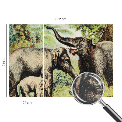 Papel de parede fotográfico Elefantes da família