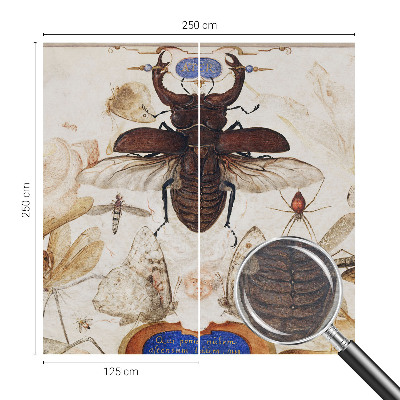 Fotomural Harmonia natural