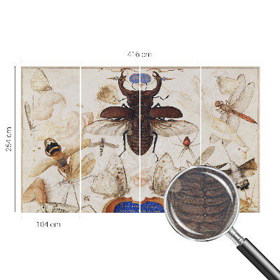 Fotomural Harmonia natural