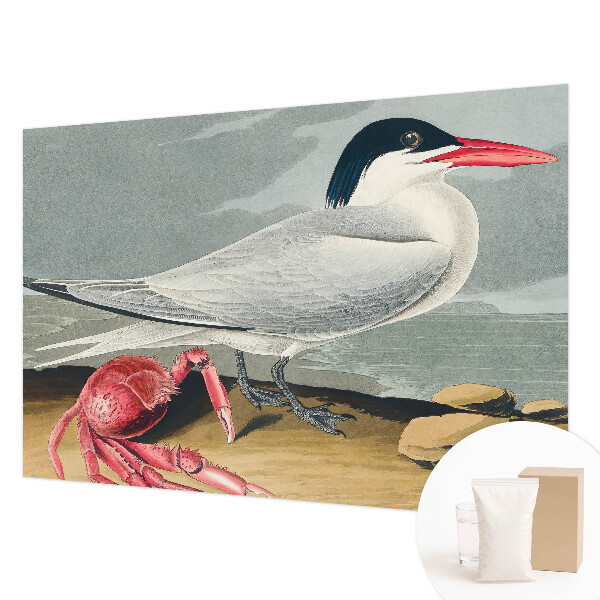 Mural de parede paisagem marítima