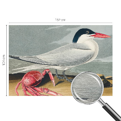 Mural de parede paisagem marítima