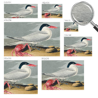 Mural de parede paisagem marítima