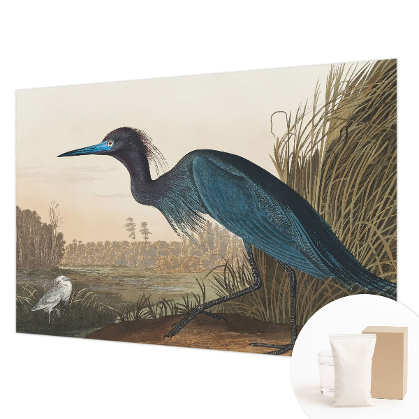 Mural de parede Aves aquáticas