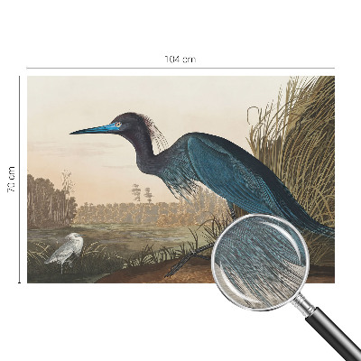 Mural de parede Aves aquáticas