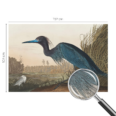 Mural de parede Aves aquáticas