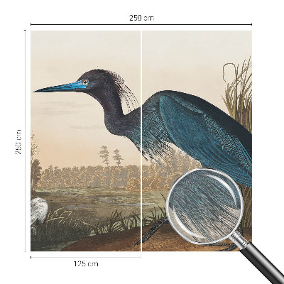 Mural de parede Aves aquáticas