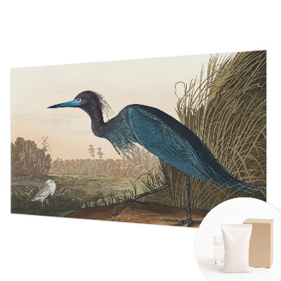 Mural de parede Aves aquáticas