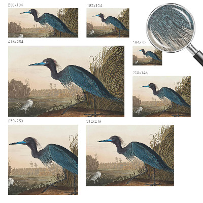 Mural de parede Aves aquáticas