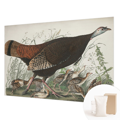 Papel de parede Harmonia natural